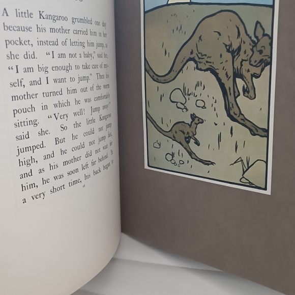 Book - Picture 5 of 8